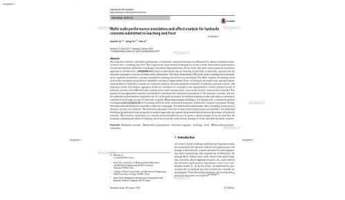 Multi-scale performance simulation and effect analysis for hydraulic concrete submitted to leaching and frost